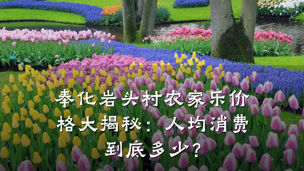 奉化岩头村农家乐价格大揭秘:人均消费到底多少?