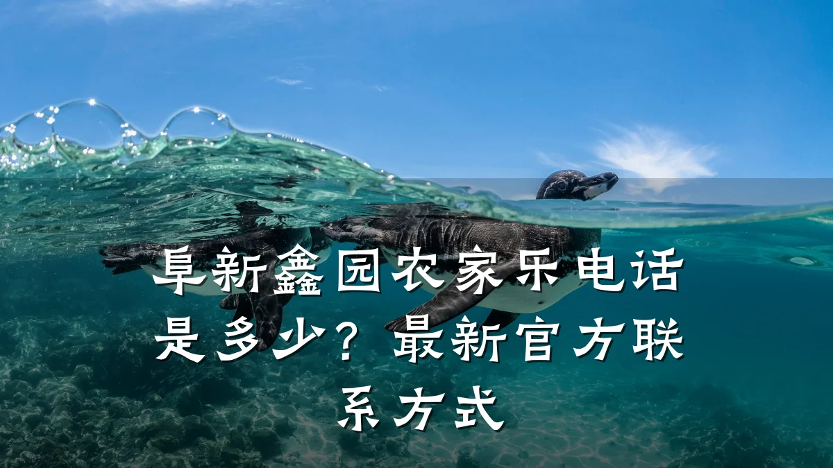 阜新鑫园农家乐电话是多少?最新官方联系方式