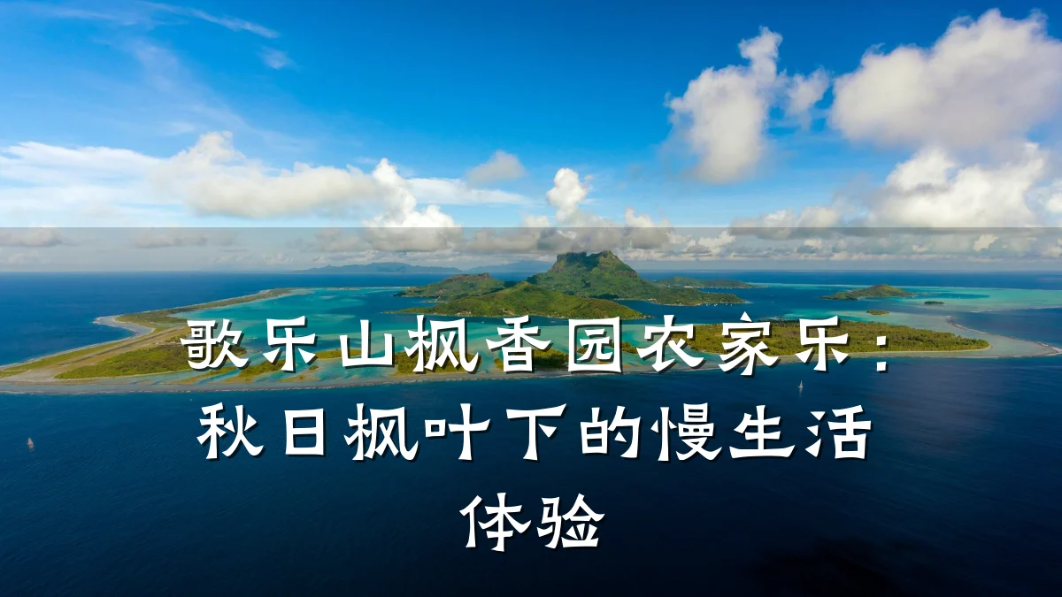 歌乐山枫香园农家乐:秋日枫叶下的慢生活体验