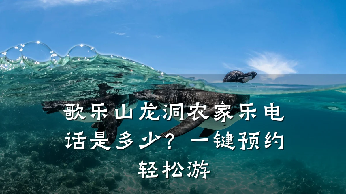 歌乐山龙洞农家乐电话是多少?一键预约轻松游