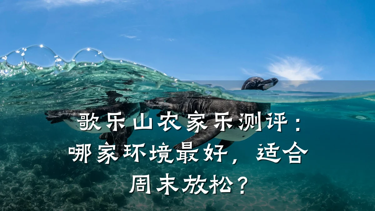 歌乐山农家乐测评:哪家环境最好,适合周末放松?