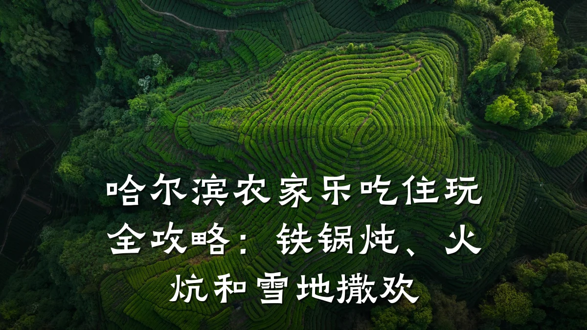 哈尔滨农家乐吃住玩全攻略:铁锅炖、火炕和雪地撒欢