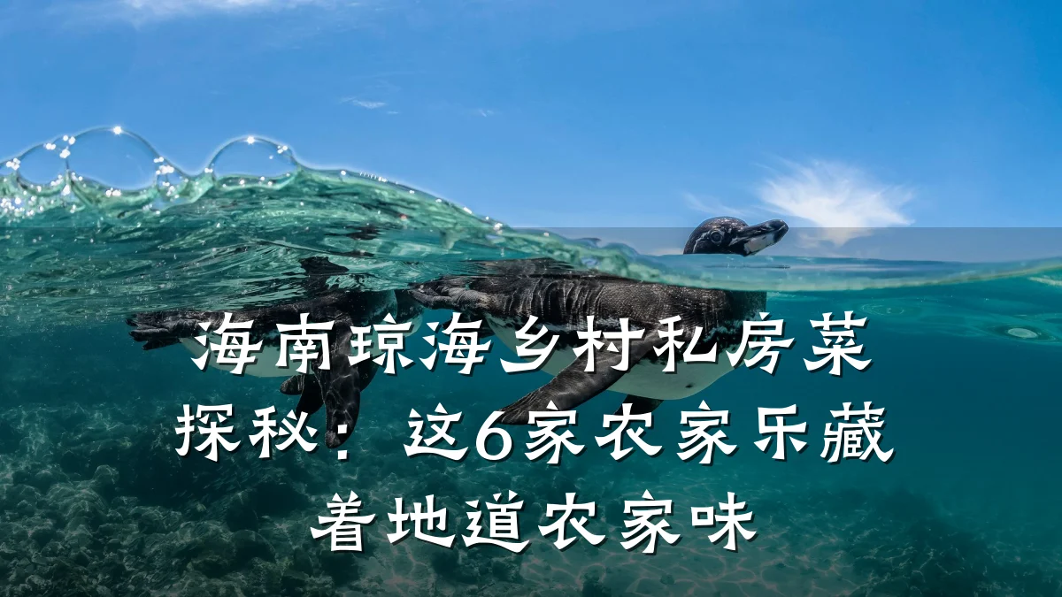 海南琼海乡村私房菜探秘:这6家农家乐藏着地道农家味