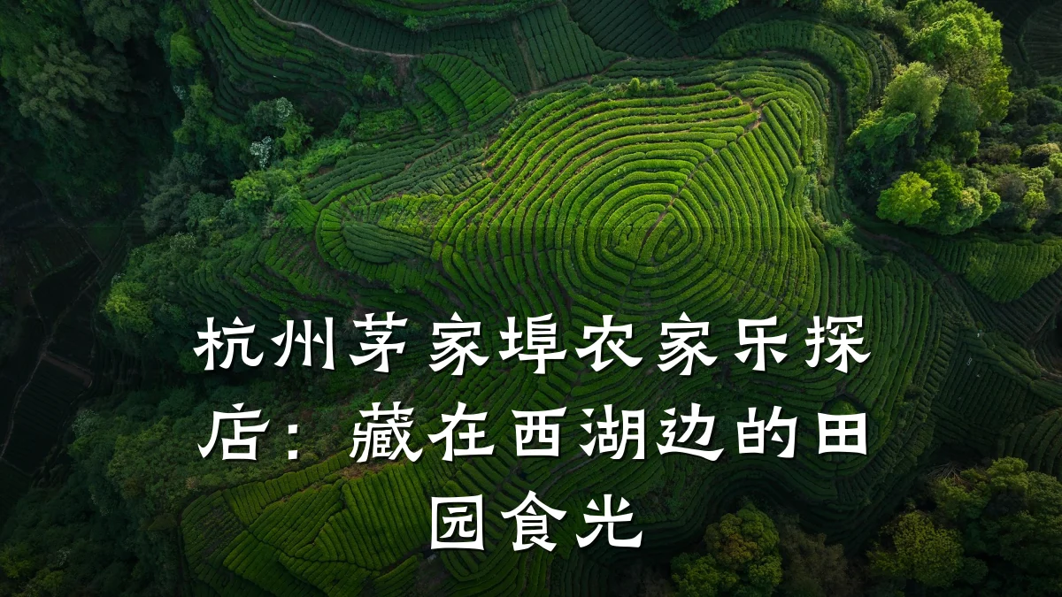 杭州茅家埠农家乐探店:藏在西湖边的田园食光