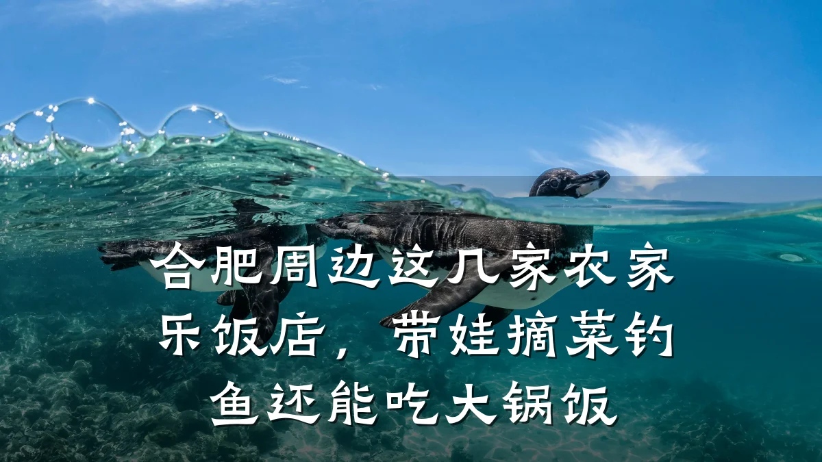合肥周边这几家农家乐饭店,带娃摘菜钓鱼还能吃大锅饭