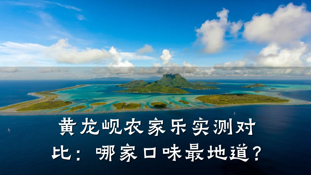 黄龙岘农家乐实测对比:哪家口味最地道?