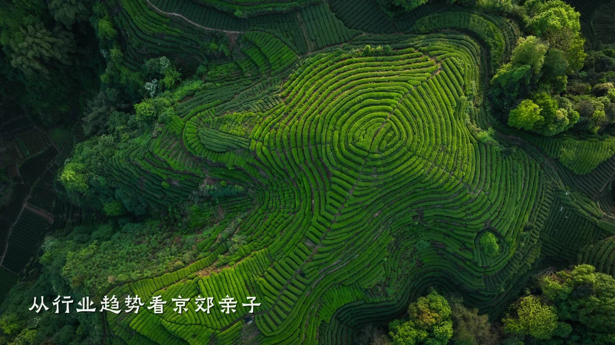 从行业趋势看京郊亲子