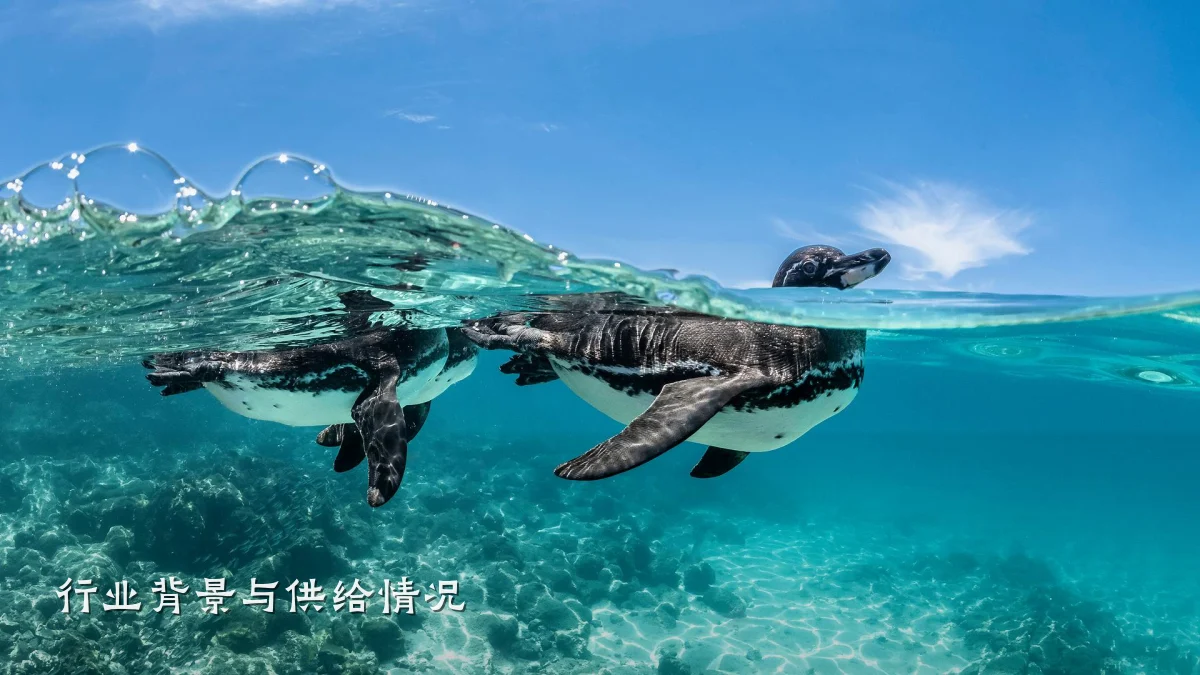 行业背景与供给情况