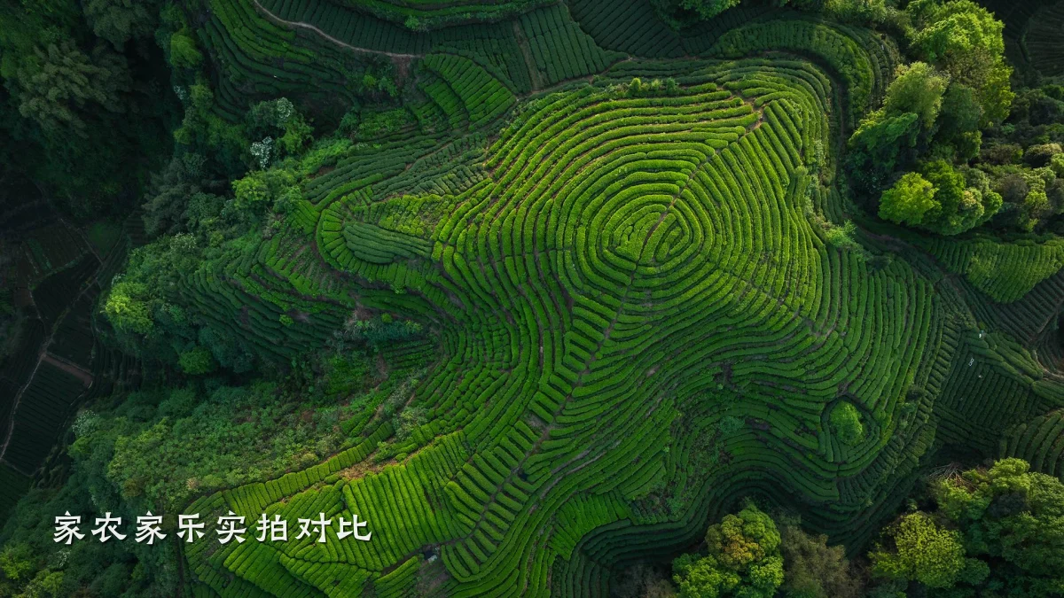 家农家乐实拍对比