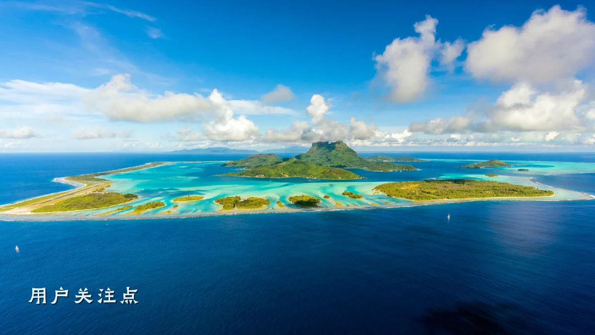 用户关注点