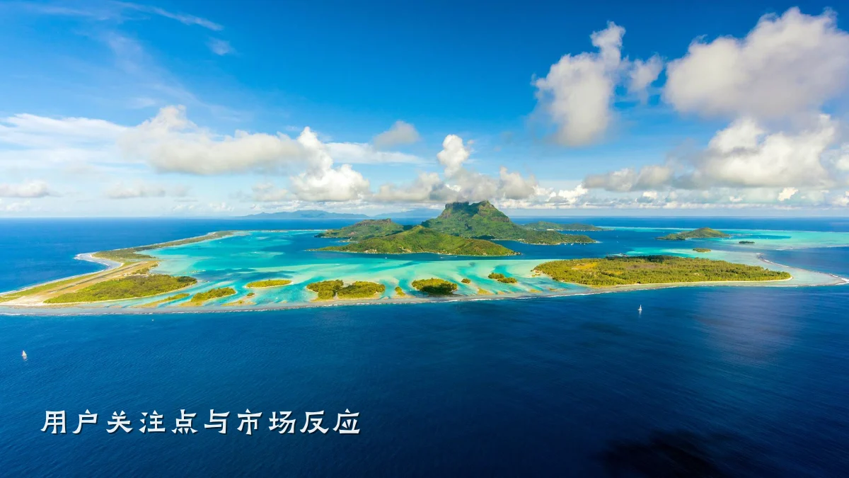 用户关注点与市场反应