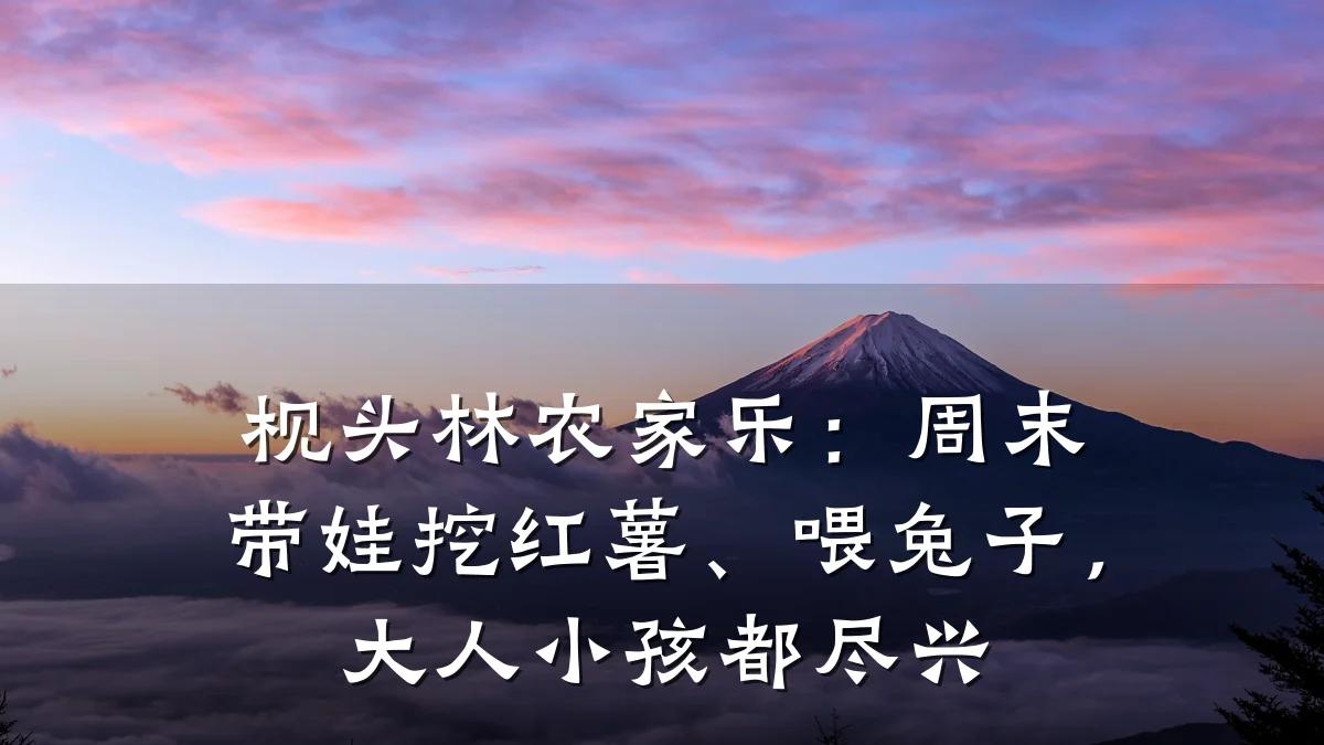 枧头林农家乐:周末带娃挖红薯、喂兔子,大人小孩都尽兴