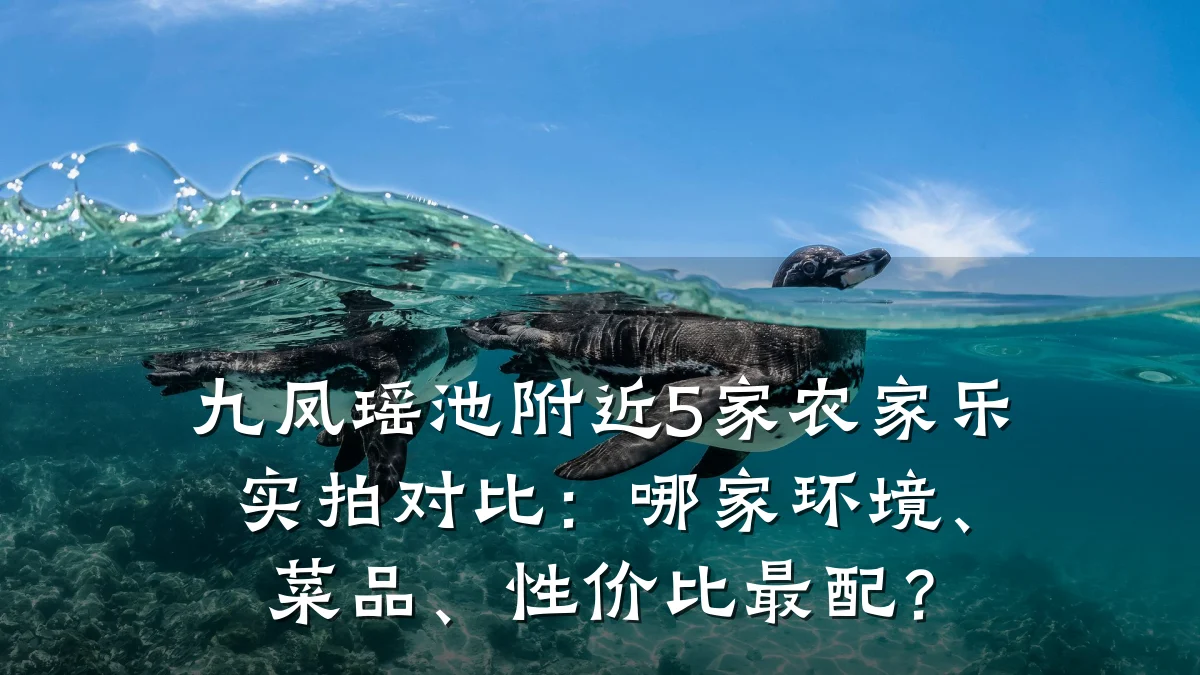 九凤瑶池附近5家农家乐实拍对比:哪家环境、菜品、性价比最配?
