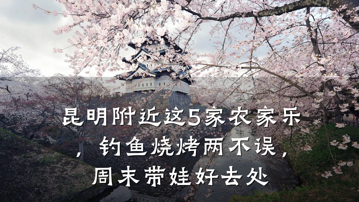昆明附近这5家农家乐,钓鱼烧烤两不误,周末带娃好去处