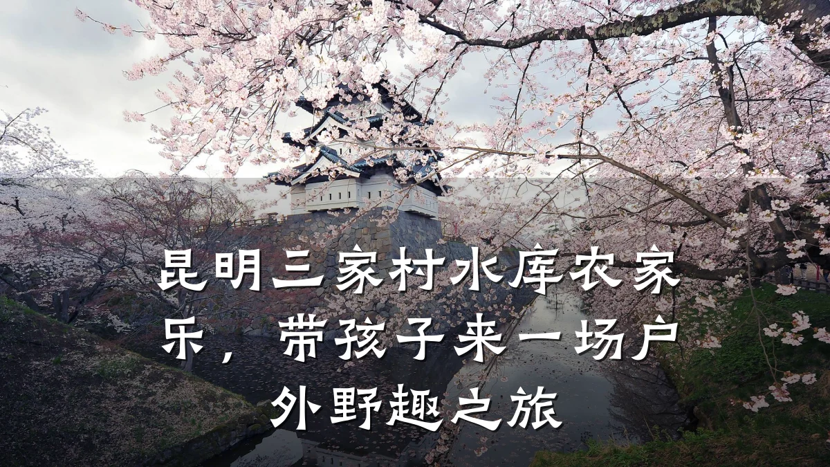 昆明三家村水库农家乐,带孩子来一场户外野趣之旅