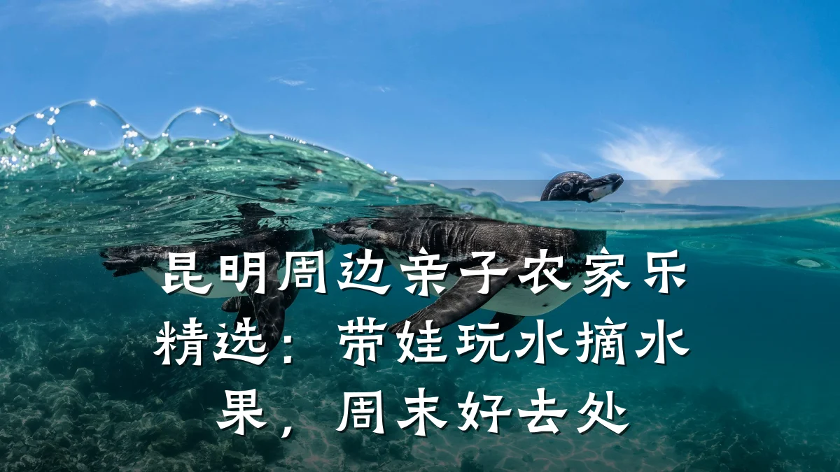 昆明周边亲子农家乐精选:带娃玩水摘水果,周末好去处