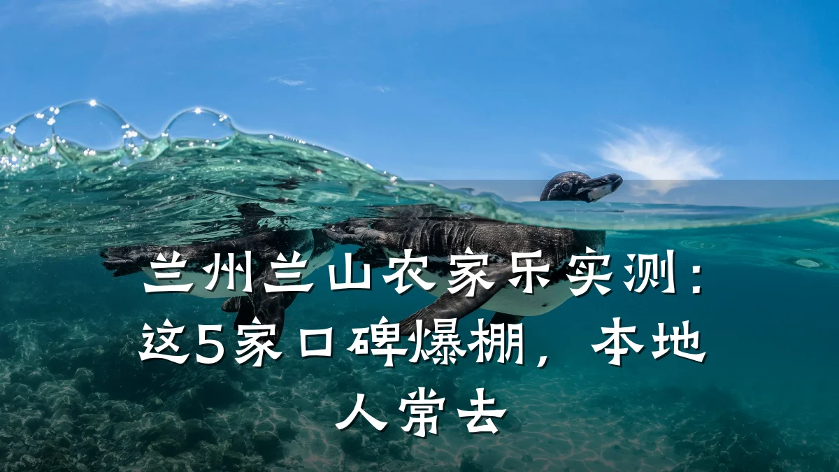 兰州兰山农家乐实测:这5家口碑爆棚,本地人常去
