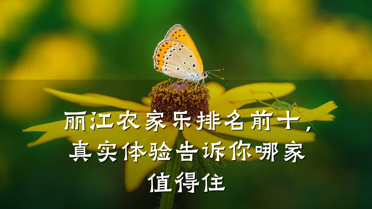 丽江农家乐排名前十,真实体验告诉你哪家值得住