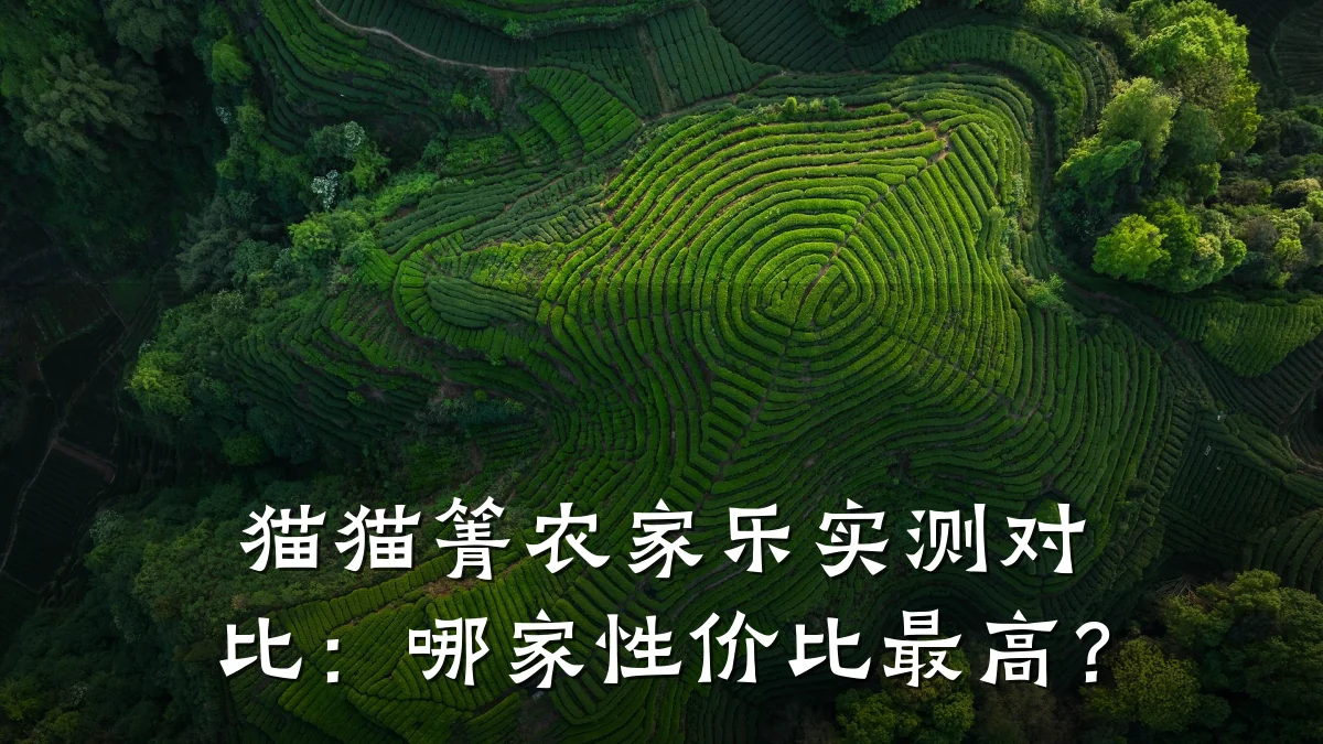 猫猫箐农家乐实测对比：哪家性价比最高？