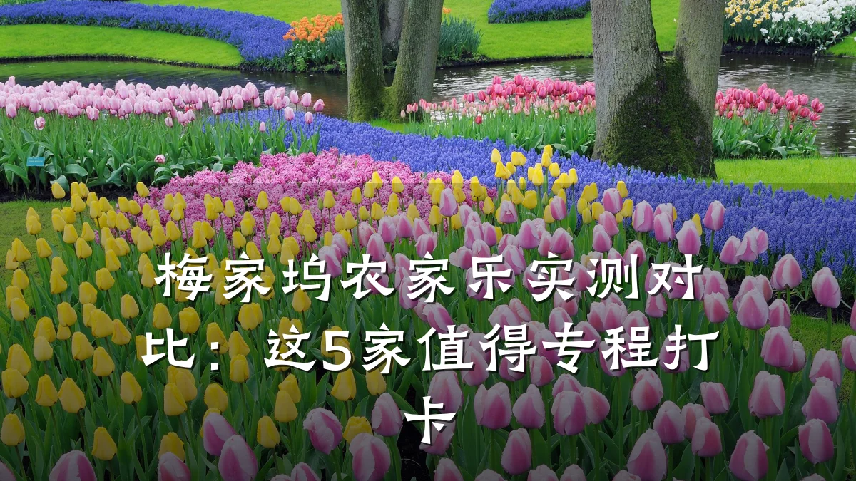 梅家坞农家乐实测对比:这5家值得专程打卡
