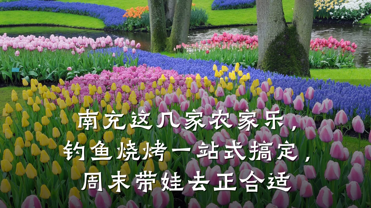 南充这几家农家乐,钓鱼烧烤一站式搞定,周末带娃去正合适