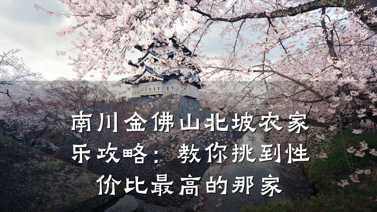 南川金佛山北坡农家乐攻略:教你挑到性价比最高的那家