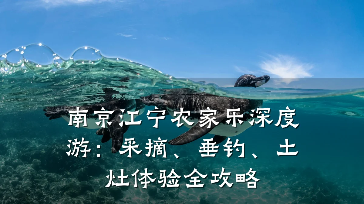 南京江宁农家乐深度游:采摘、垂钓、土灶体验全攻略