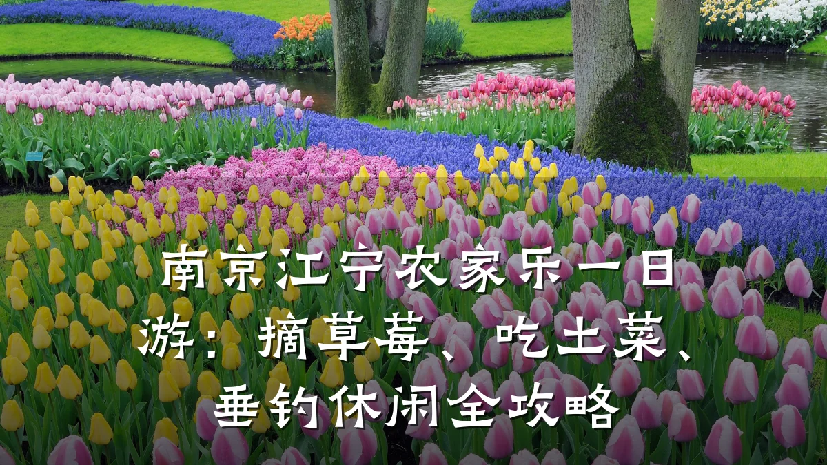 南京江宁农家乐一日游:摘草莓、吃土菜、垂钓休闲全攻略