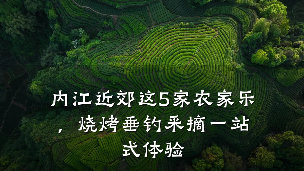内江近郊这5家农家乐,烧烤垂钓采摘一站式体验