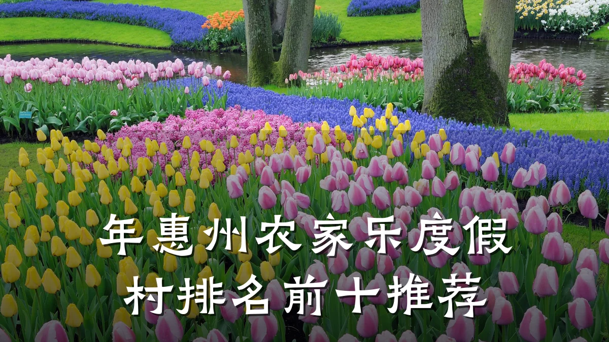 年惠州农家乐度假村排名前十推荐