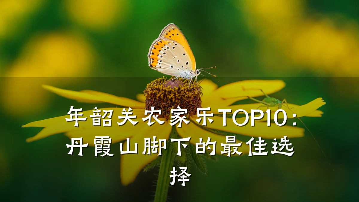 年韶关农家乐TOP10:丹霞山脚下的最佳选择