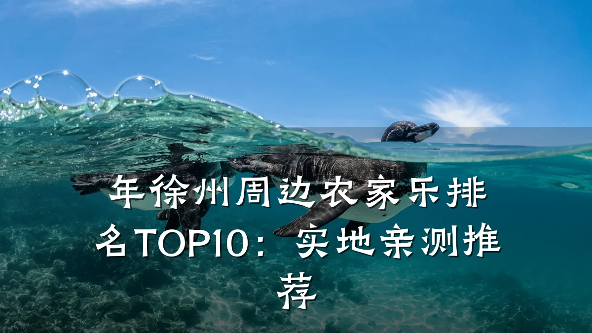年徐州周边农家乐排名TOP10：实地亲测推荐