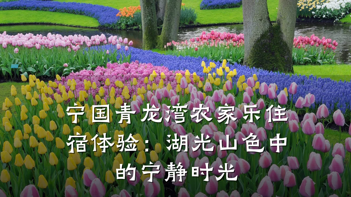 宁国青龙湾农家乐住宿体验:湖光山色中的宁静时光