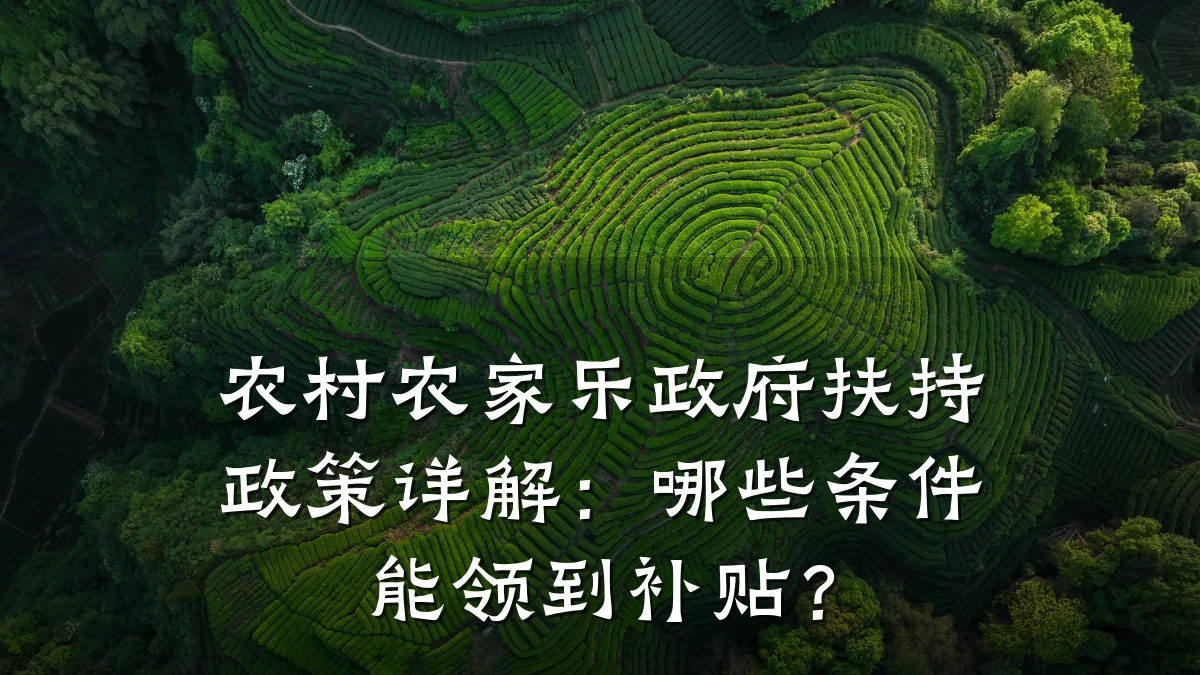 农村农家乐政府扶持政策详解:哪些条件能领到补贴?