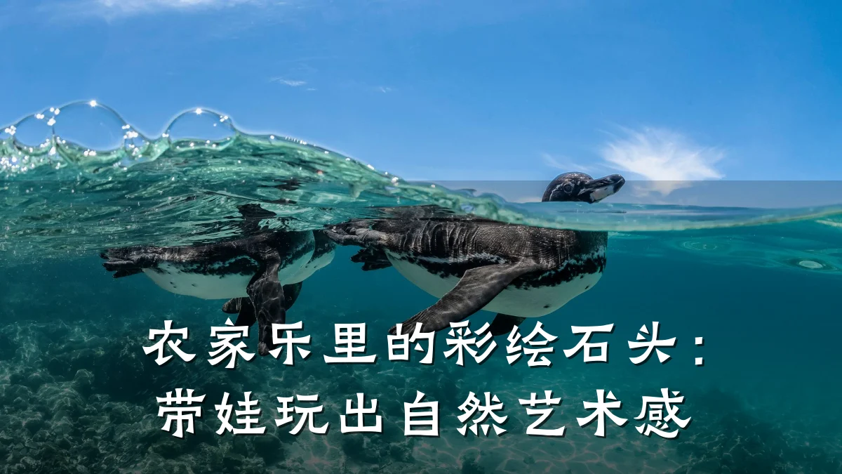 农家乐里的彩绘石头:带娃玩出自然艺术感