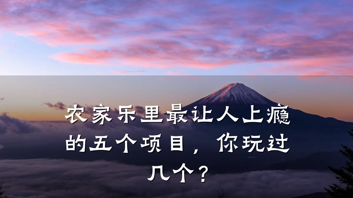 农家乐里最让人上瘾的五个项目,你玩过几个?