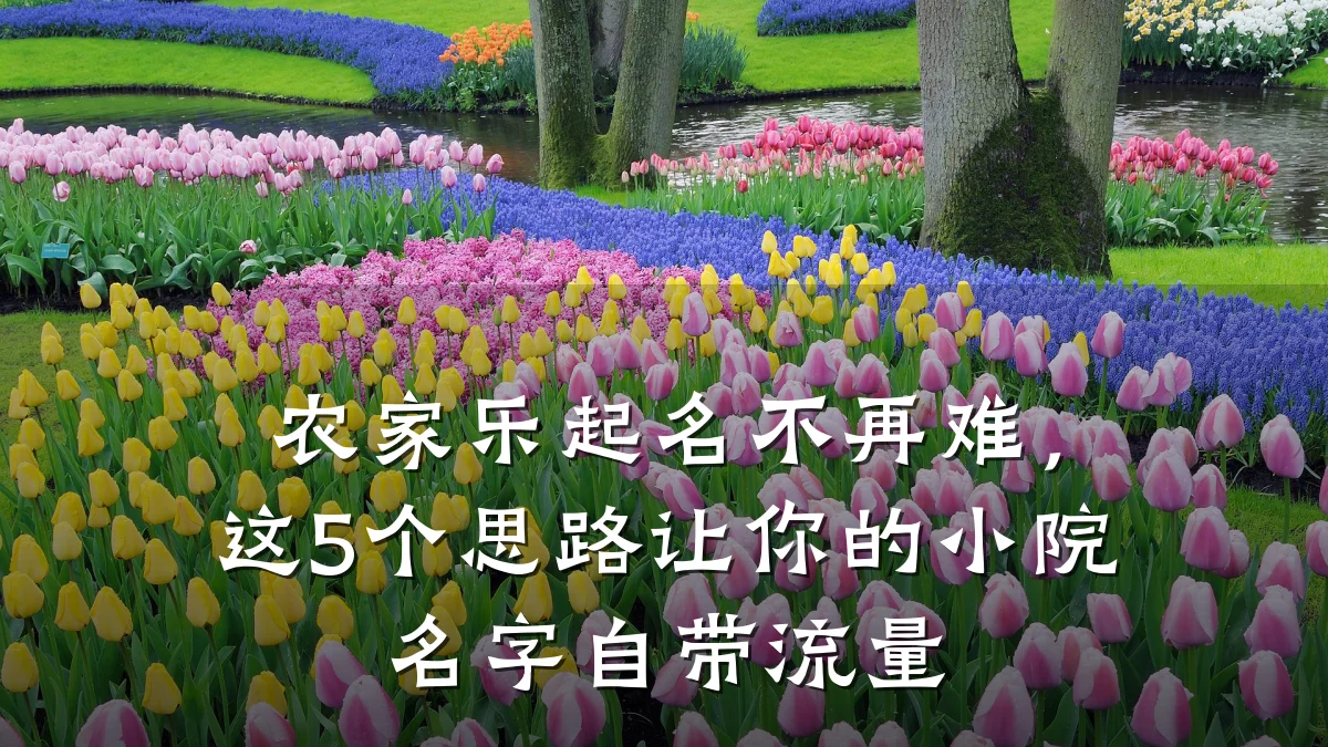 农家乐起名不再难,这5个思路让你的小院名字自带流量