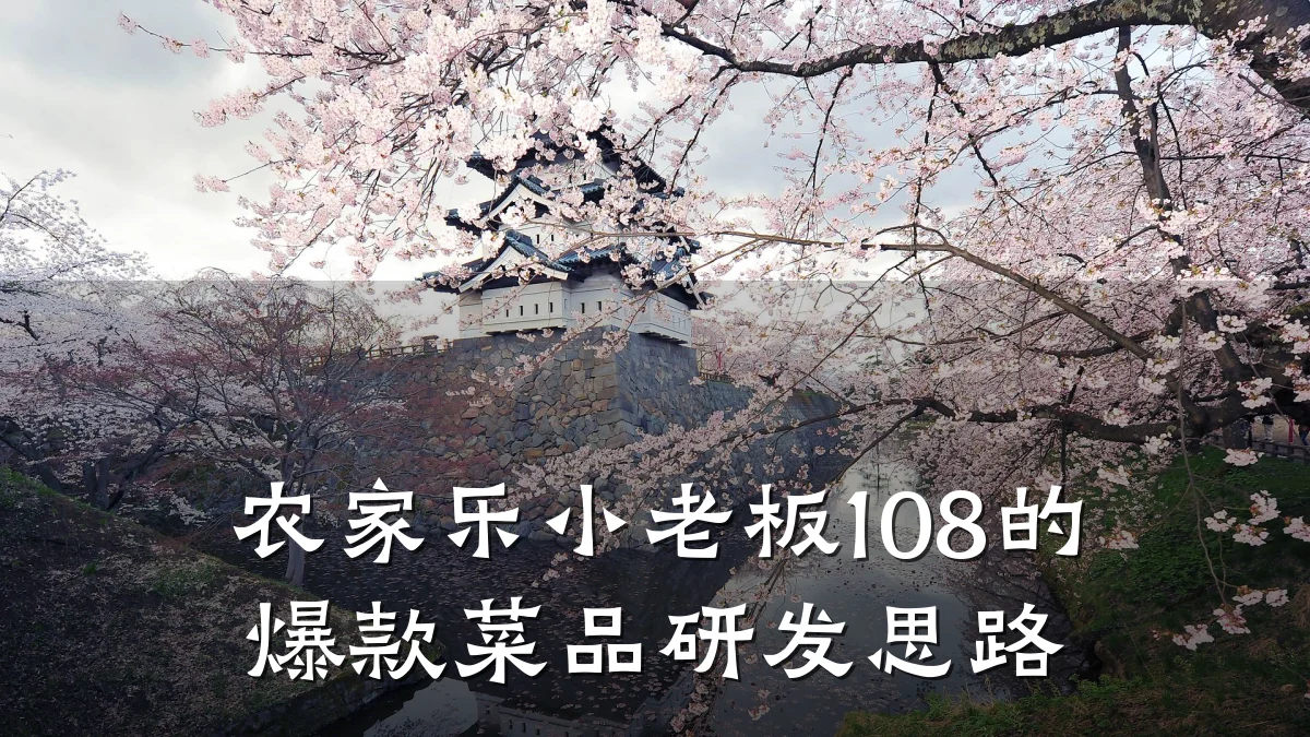 农家乐小老板108的爆款菜品研发思路