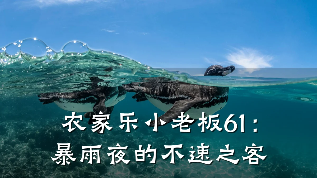 农家乐小老板61:暴雨夜的不速之客