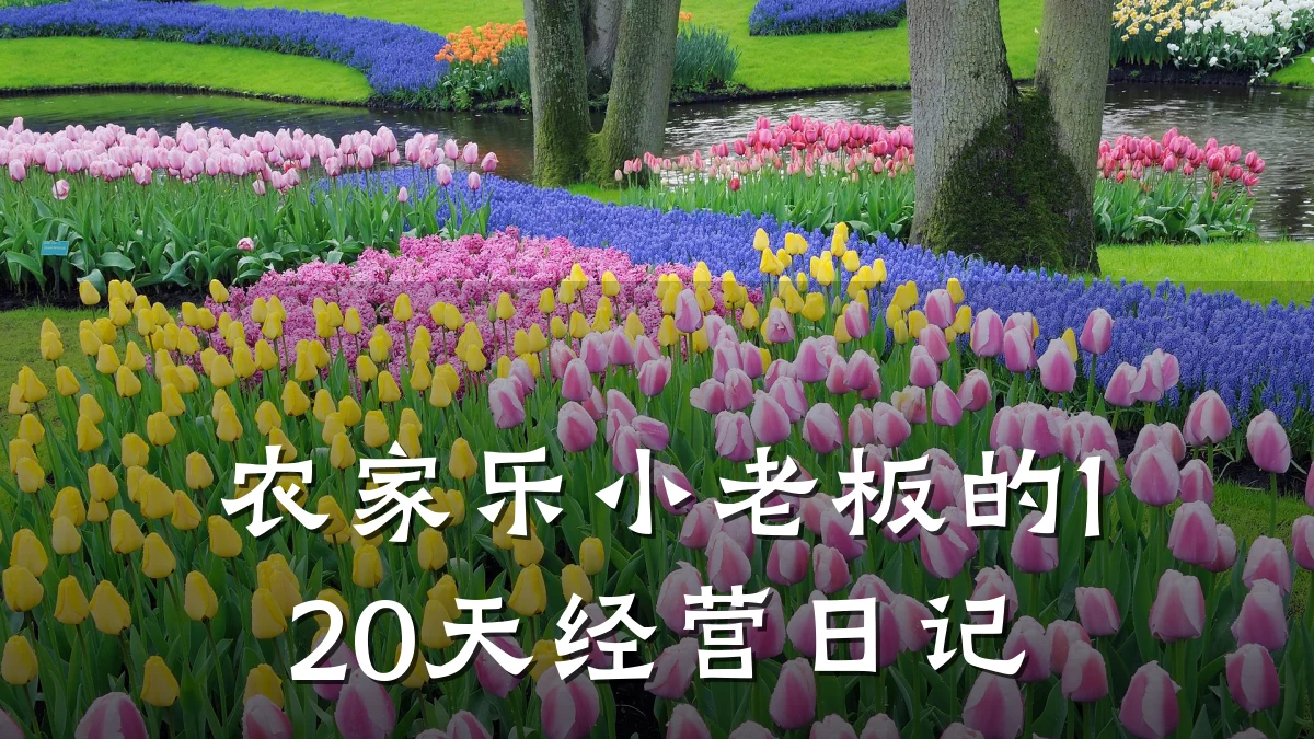 农家乐小老板的120天经营日记