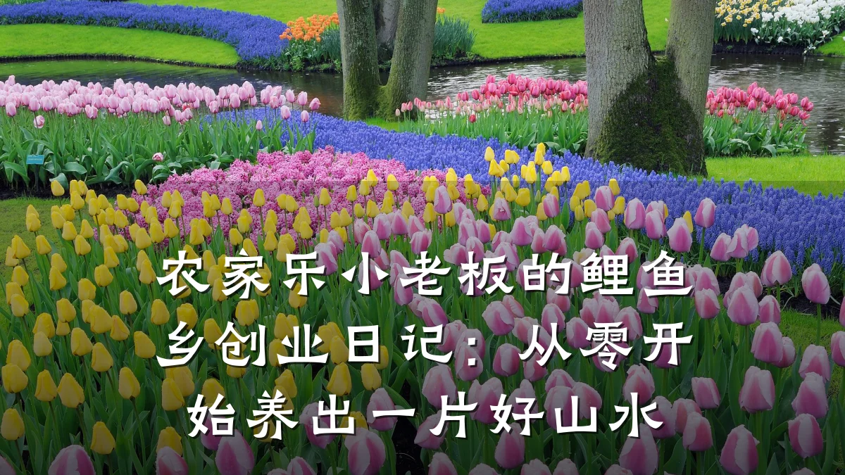农家乐小老板的鲤鱼乡创业日记:从零开始养出一片好山水