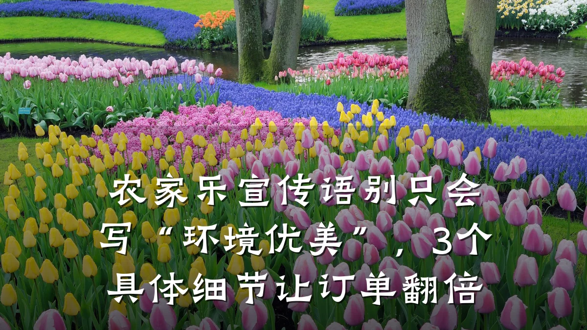 农家乐宣传语别只会写“环境优美”,3个具体细节让订单翻倍