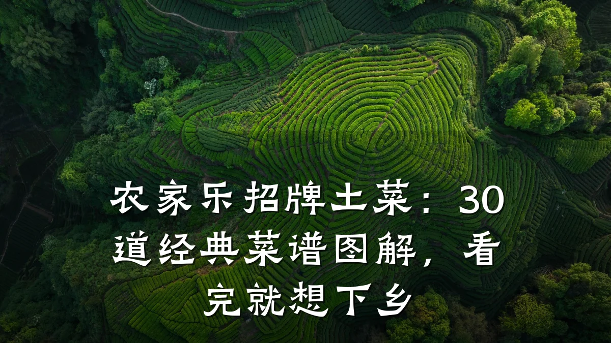 农家乐招牌土菜:30道经典菜谱图解,看完就想下乡