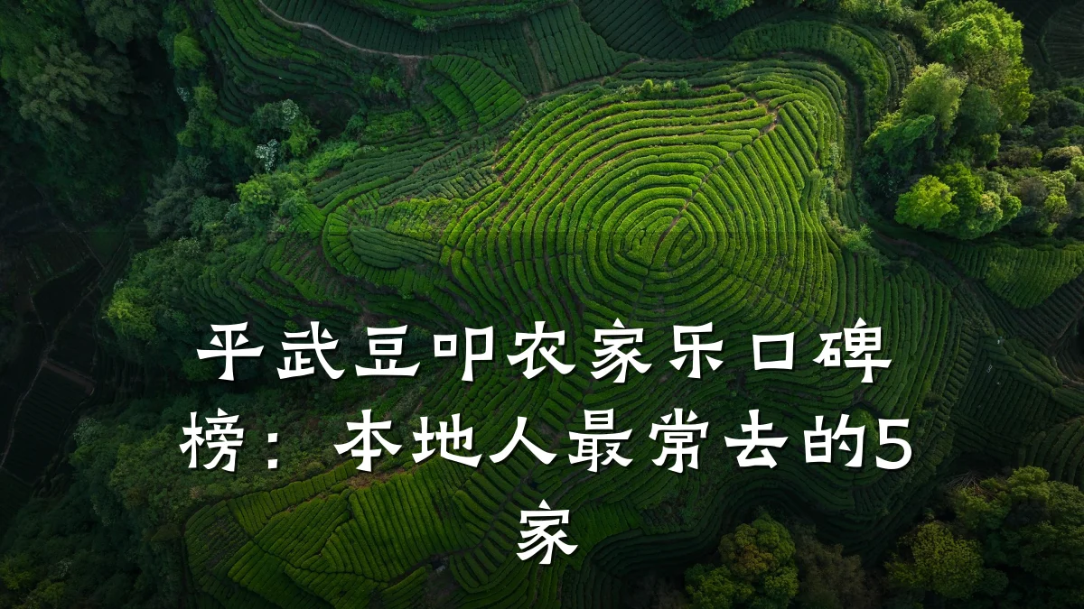 平武豆叩农家乐口碑榜:本地人最常去的5家