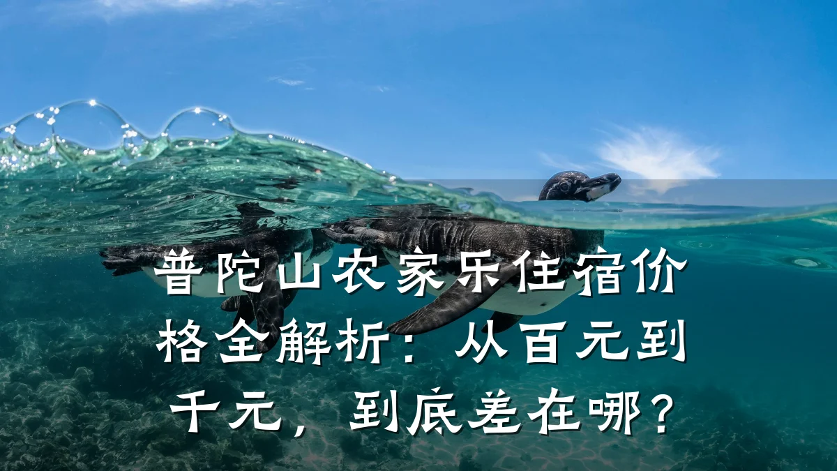 普陀山农家乐住宿价格全解析:从百元到千元,到底差在哪?