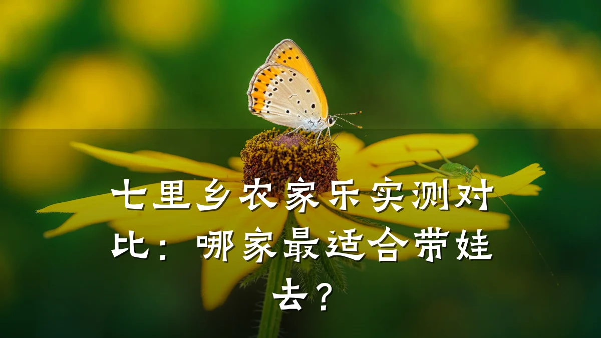 七里乡农家乐实测对比:哪家最适合带娃去?