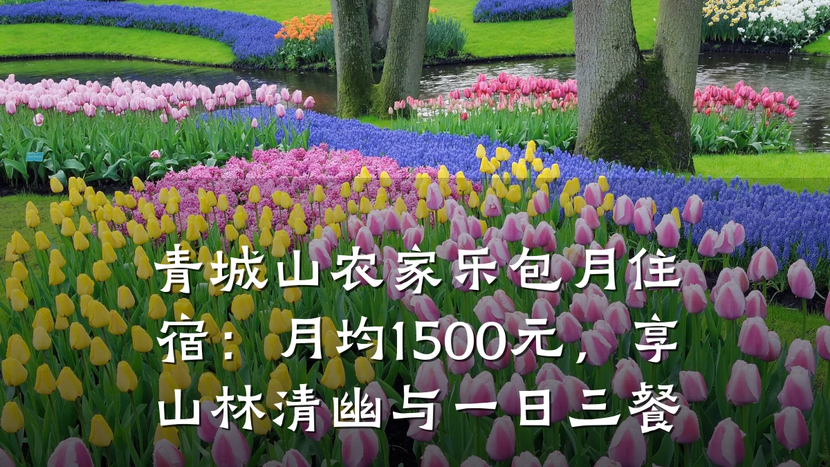 青城山农家乐包月住宿:月均1500元,享山林清幽与一日三餐