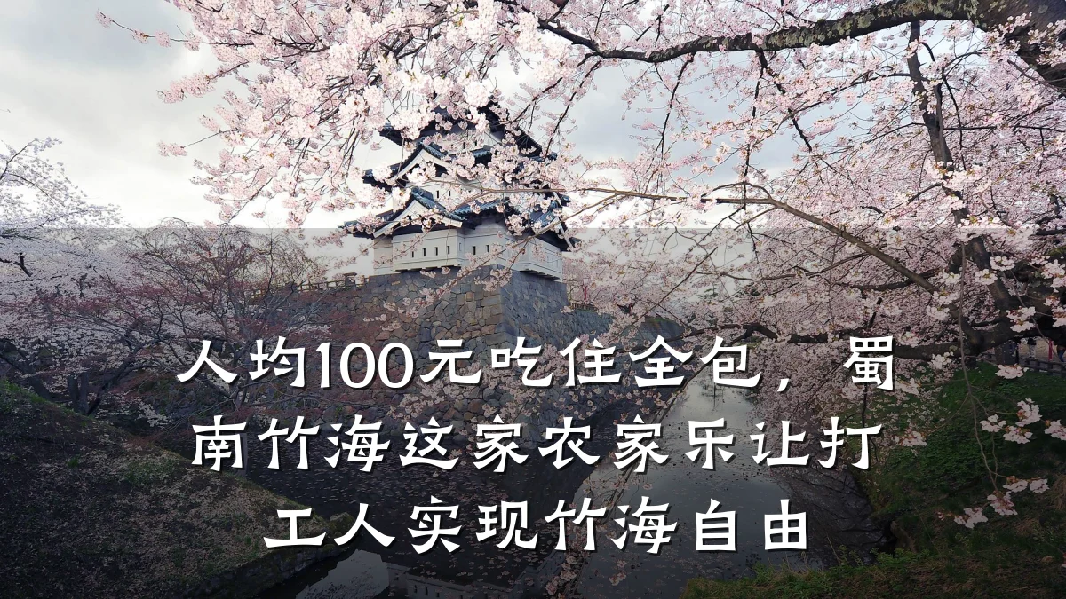 人均100元吃住全包,蜀南竹海这家农家乐让打工人实现竹海自由