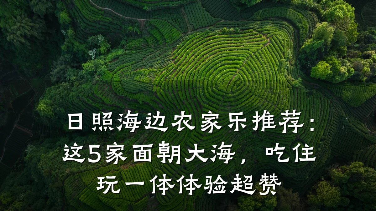 日照海边农家乐推荐:这5家面朝大海,吃住玩一体体验超赞