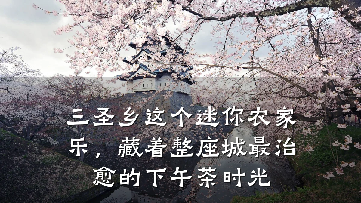 三圣乡这个迷你农家乐,藏着整座城最治愈的下午茶时光